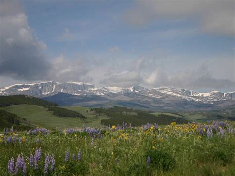 Bighorn National Forest, Wyoming - Recreation.gov