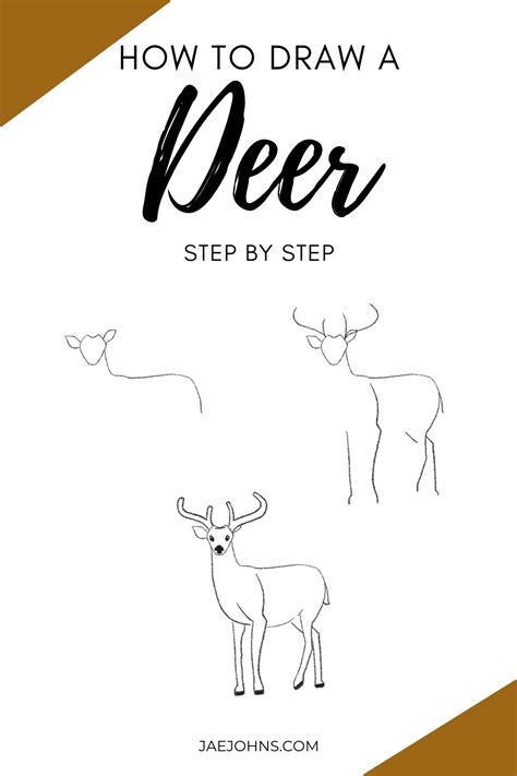 How To Draw A Deer Head Step By Step Easy