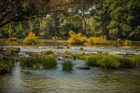 Kaveri River near Dubare Elephant Camp, Karnataka, India | Flickr