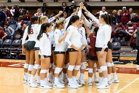 WSU volleyball heads to fourth consecutive NCAA Tournament in Hawaii ...