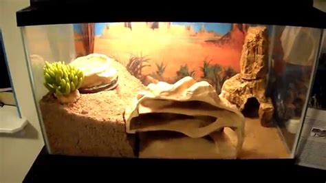 Leopard gecko hides made out of styrofoam - aefelik