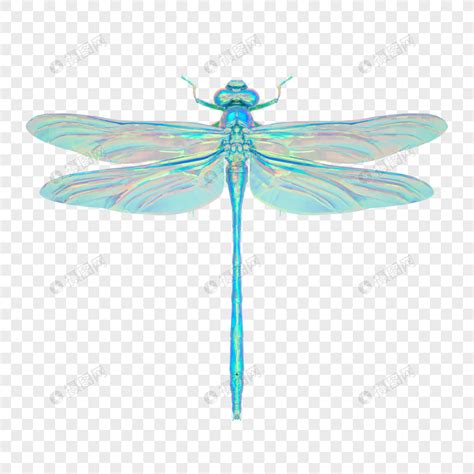 Insect Acidic Model Dragonfly, 3D, C4D, Three-dimensional PNG ...