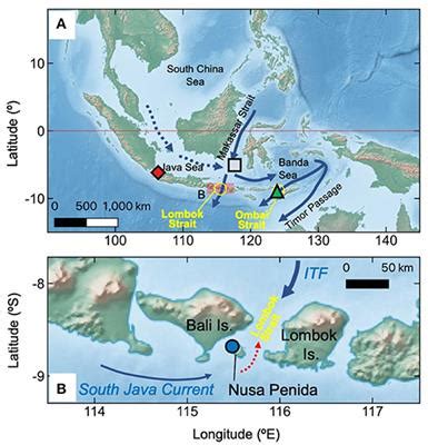 Frontiers | Sea Surface Temperature and Salinity in Lombok Strait ...