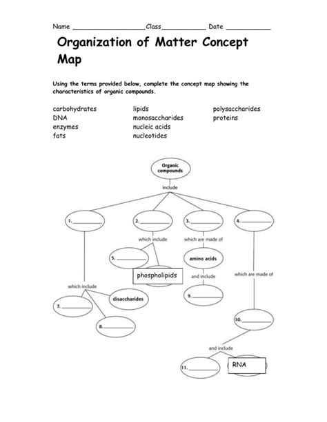 Biomolecules Concept Map Worksheet — db-excel.com