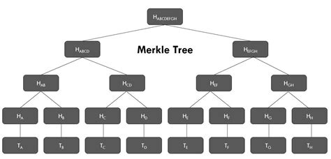 GitHub - nhussein11/merkle-tree: Rust implementation and explanation of the Merkle Tree structure