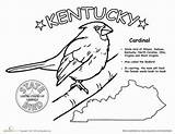 Kentucky State Symbols Coloring Pages sketch template