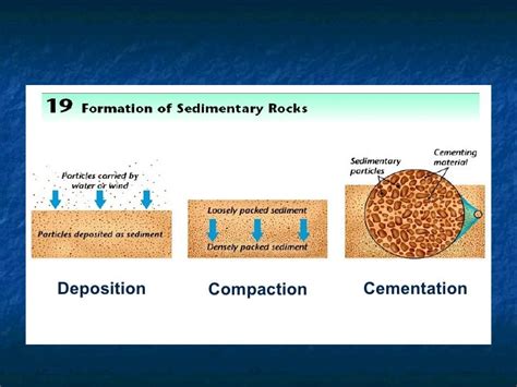 Sedimentary & Metamorphic Rocks