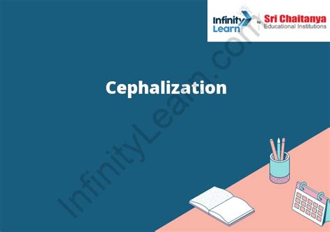 Cephalization- Meaning - Infinity Learn by Sri Chaitanya