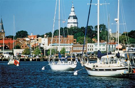 Sailing Charters in Annapolis, Maryland | Stock Photo Clichés on T-shirts | Montauk Tackle Company