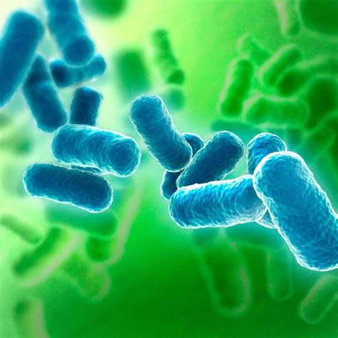 Evaluación del riesgo de contaminación biológica en superficies