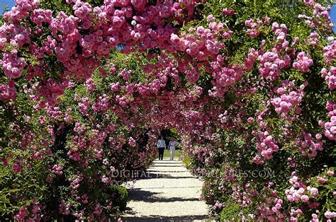 Planting Fields Arboretum State Historic Park Visit