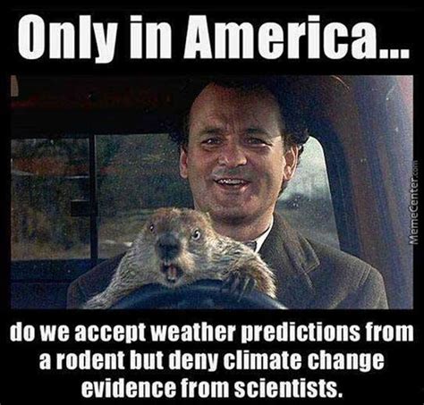 Groundhog Day Memes For 2017, In Hopes That His Shadow Doesn't Scare Him