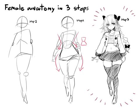 Female anatomy in 3 steps | How To Draw an Owl | Female anatomy reference, Body reference ...