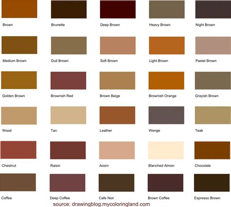 The Color Scheme For Different Shades Of Brown - vrogue.co