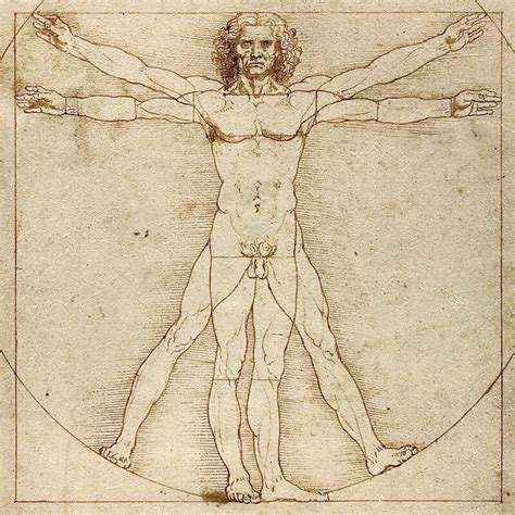 Vitruvian Man — SHELLEY LAKE