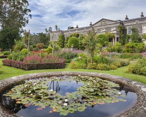 Our favourite National Trust gardens that you can visit all year-round