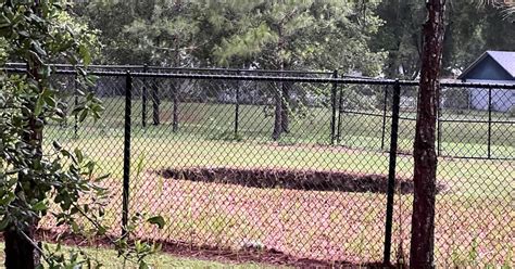 This Florida Sinkhole Killed a Man in 2013. It’s Open for a Third Time. - The New York Times