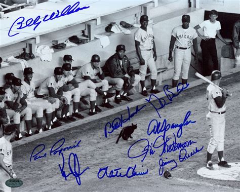 1969 Cubs Black Cat 8x10Photo Team Signed by (9) with Billy Williams ...