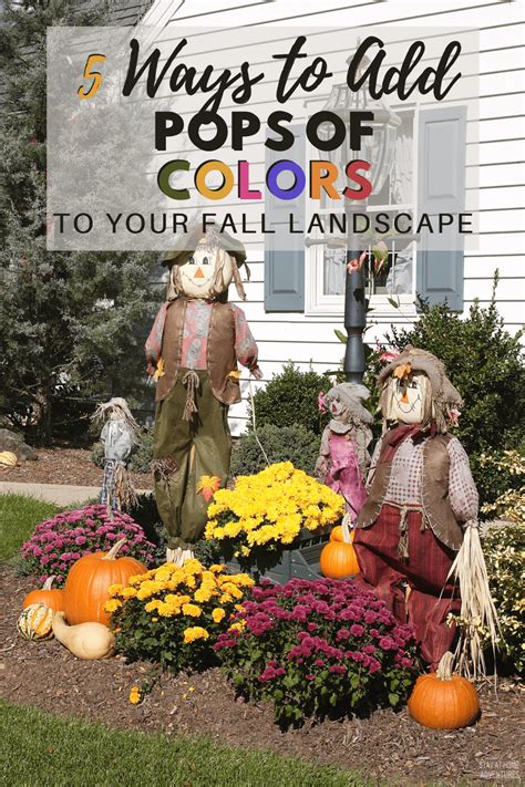 5 Simple Fall Landscaping Ideas to Wow Your Neighbors