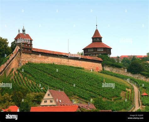 esslinger castle with vineyard Stock Photo - Alamy