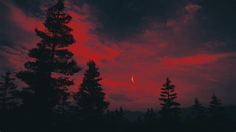 Wallpaper : Far Cry 5, red sky, forest, PC gaming, landscape, night ...