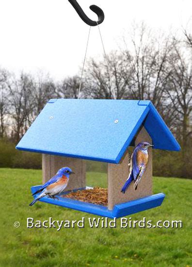 Recycled Bluebird Feeder at Backyard Wild Birds