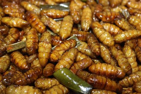 Fried Bugs at Street Market in Thailand. Stock Image - Image of bugs, food: 105933987