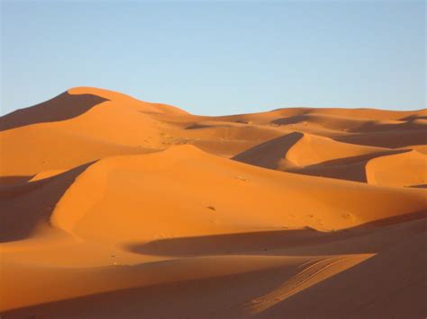 Free Images : landscape, desert, sand dune, sandy, habitat, sahara, wadi, erg, natural ...