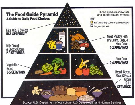 Por qué los carbohidratos no deben ser la base de nuestra alimentación ...