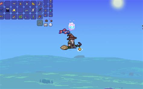 **REPORTED** - Witch's Broom Visual Glitch | Terraria Community Forums