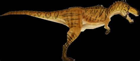 Nanotyrannus Pictures & Facts - The Dinosaur Database