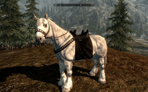 Black Saddles For All Horses at Skyrim Nexus - mods and community