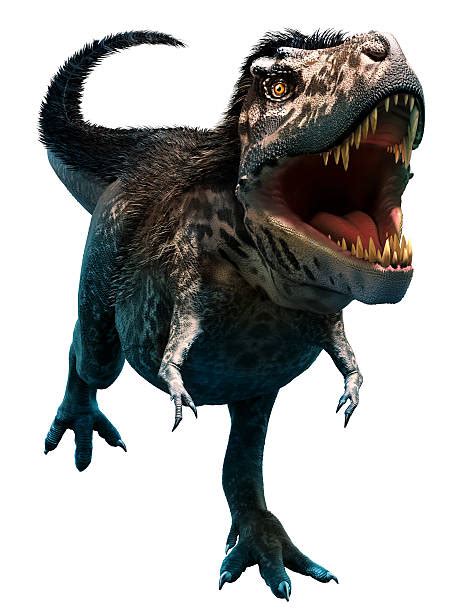 60+ Tyrannosaurus Rex Feathers Stock Photos, Pictures & Royalty-Free ...