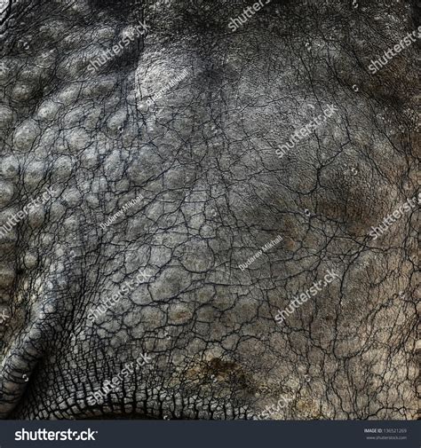 Rhino Skin Texture Stock Photo 136521269 | Shutterstock