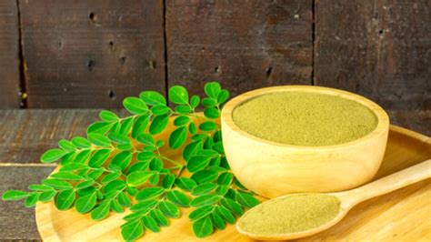 Benefits of Moringa Powder for Weight Loss and How to Use it - Nusagro