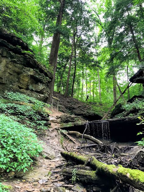 Creek Stomping at Shades State Park - Traveling Tanya