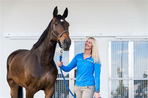 UF Veterinary Hospital at World Equestrian Center - Ocala Available For ...