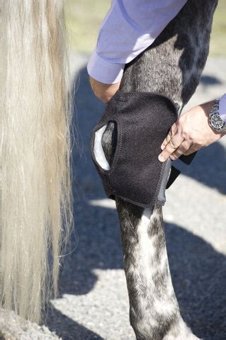 Ice Horse Hock Wraps to Prevent Hock Injuries in Horses | IceHorse