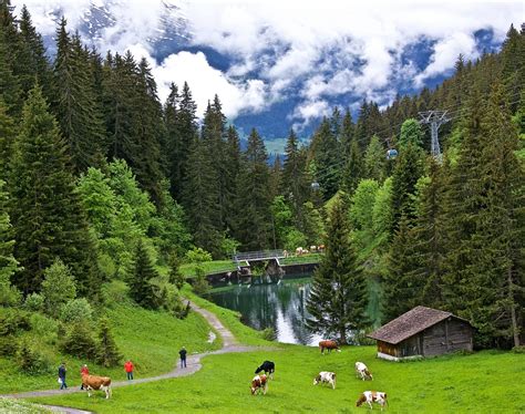 Nature Landscapes Switzerland Wallpaper - WoodsLima