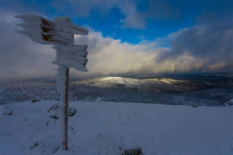 Bavarian Forest Winter