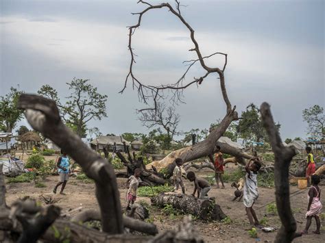 Extreme Weather In Mozambique Is Outpacing Efforts To Adapt : Goats and ...