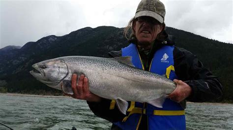 Freshwater Salmon Fishing Trips Pemberton British Columbia