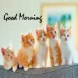 Good Morning Quotes GM Wishes for Android - Download
