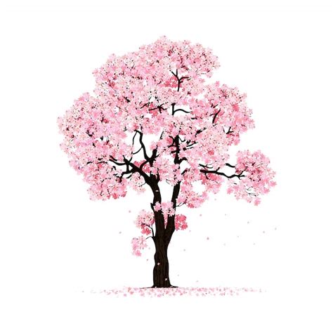 Blossoming pink sakura tree isolated | Premium Vector