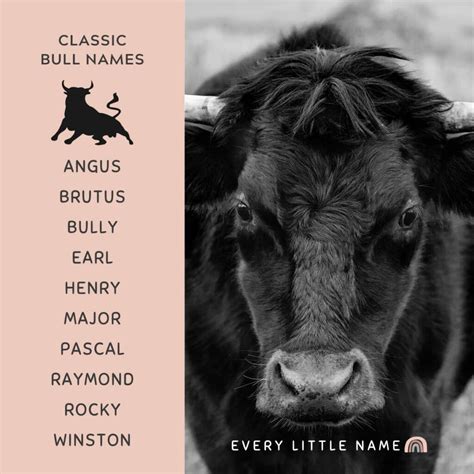 130 Best Bull Names (Strong, Funny, and Classic) - Every Little Name