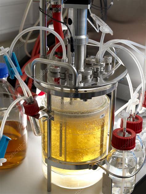 Bioreactor - Stock Image - C001/1595 - Science Photo Library