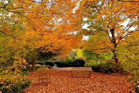 Cantigny Park in Fall – TAYONTHEMOVE