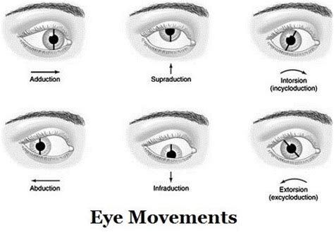 What is Psychopath Eyes ? - Techfily