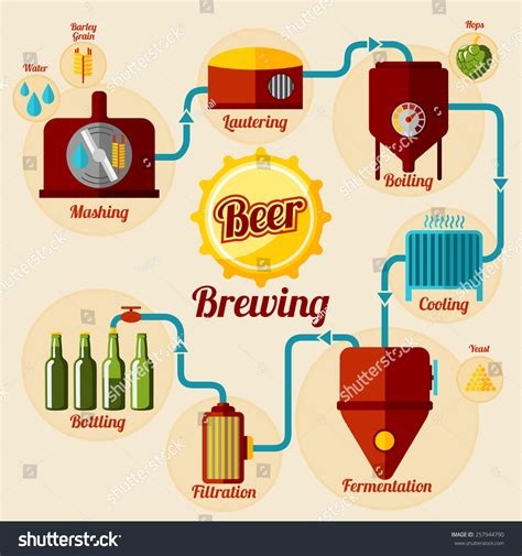 Beer Brewing Process Infographic. In Flat Style. Vector - 257944790 ...