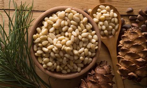 Pine Nuts: Benefits, Nutrition, Downsides And Recipes - HealthifyMe